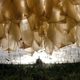 Illustration for article titled Weird Art Brings Plastic Shopping Bags Closer to Nature